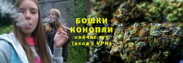 стаф Медвежьегорск