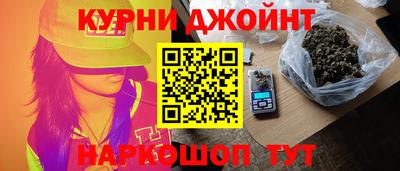 прущие грибы Гусиноозёрск