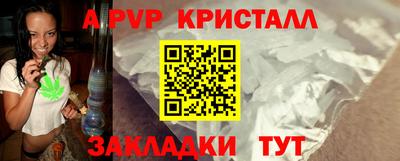 прущие грибы Гусиноозёрск