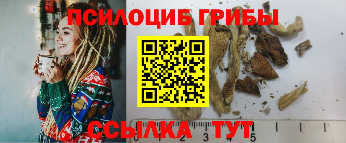 Галлюциногенные грибы Cubensis  Галлюциногенные грибы мицелий  Шумерля  хочу   Вход с VPN 