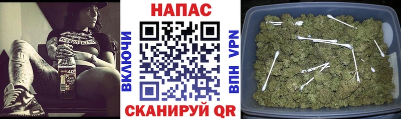 Бошки Шишки сатива Шумерля